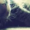 marnie